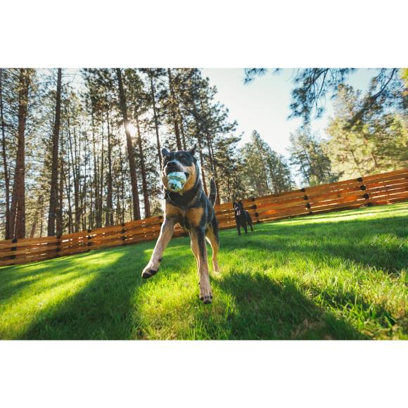 Toadstool - Aktiveringslegetøj til små og mellemstore hunde