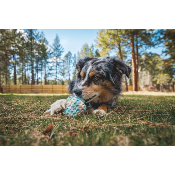 Morel - Foderaktivering til hund – Ruffwear