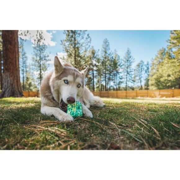 Morel - Foderaktivering til hund – Ruffwear