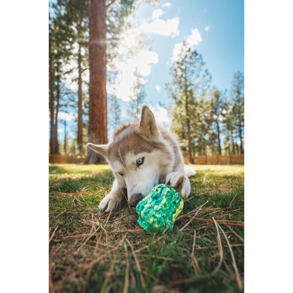 Morel - Foderaktivering til hund – Ruffwear