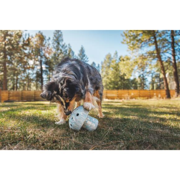 Porcini – Slow feeder & aktiveringslegetøj