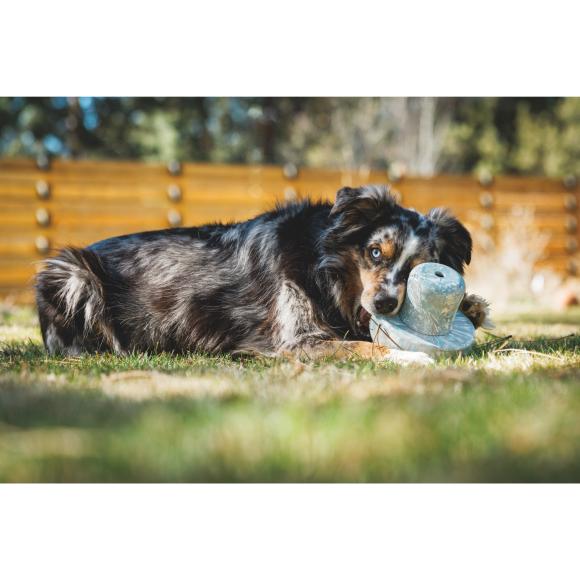 Porcini – Slow feeder & aktiveringslegetøj