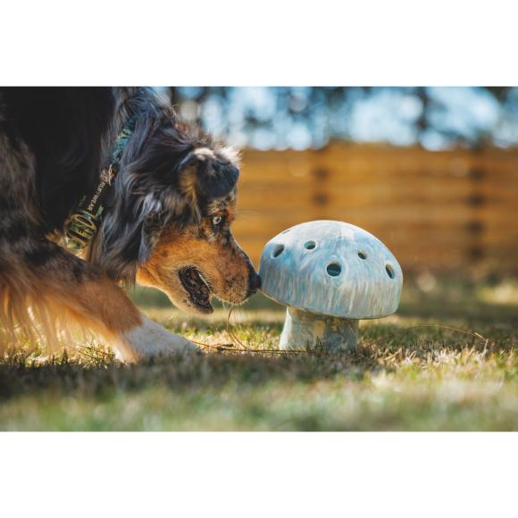 Porcini – Slow feeder & aktiveringslegetøj