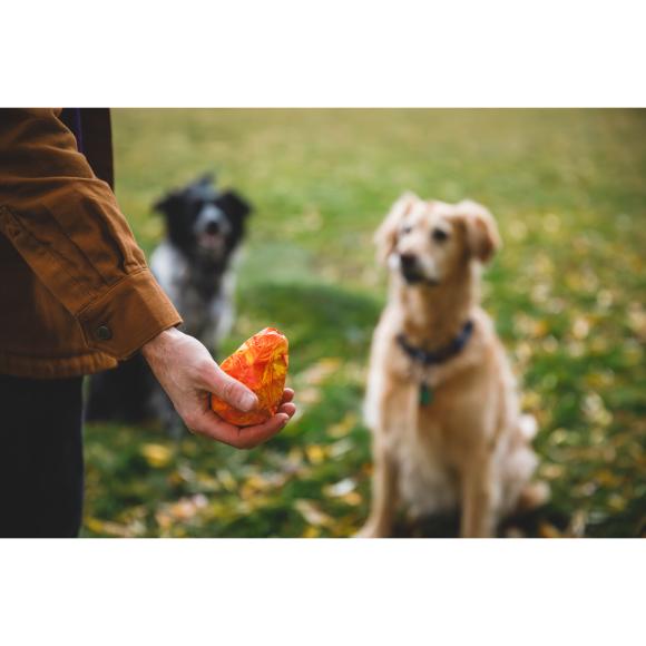 Gnawt-a-Cone – Aktiveringslegetøj med plads til godbidder