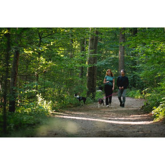 Hi & Light Harness - Basalt Gray