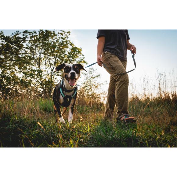 Hi & Light Harness - Basalt Gray