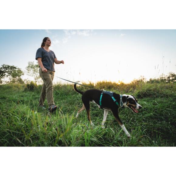 Hi & Light Harness - Basalt Gray