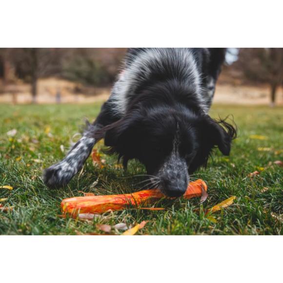 Gnawt-a-Stick – Apportpind til land og vand