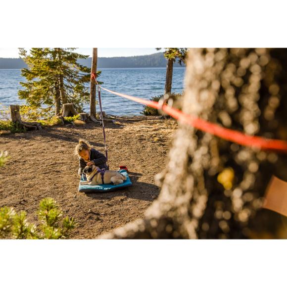 Knot-a-Hitch - Hundeline til lejr og camping