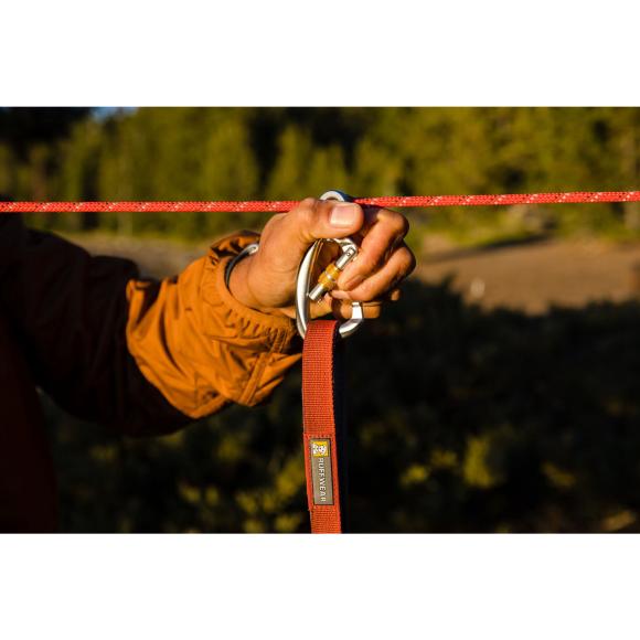 Knot-a-Hitch - Hundeline til lejr og camping