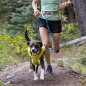 Trail Runner leash – Elastisk løbeline til hund - Ruffwear