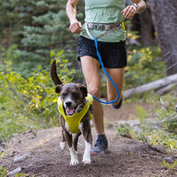 Trail Runner leash – Elastisk løbeline til hund - Ruffwear