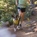 Trail Runner leash – Elastisk løbeline til hund - Ruffwear
