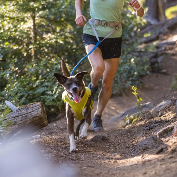 Trail Runner leash – Elastisk løbeline til hund - Ruffwear
