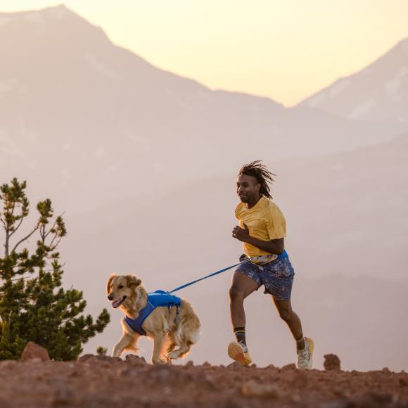 Trail Runner leash – Elastisk løbeline til hund - Ruffwear