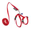 Sele til marsvin inkl. line – 15/25 cm