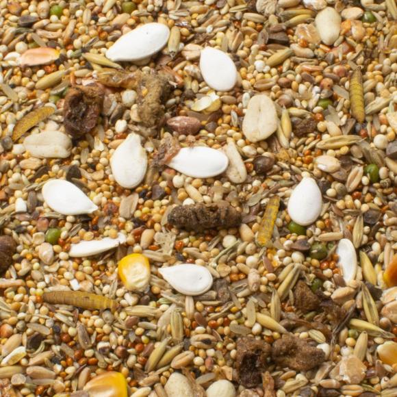 Dværghamsterfoder – JR Farm 600 g