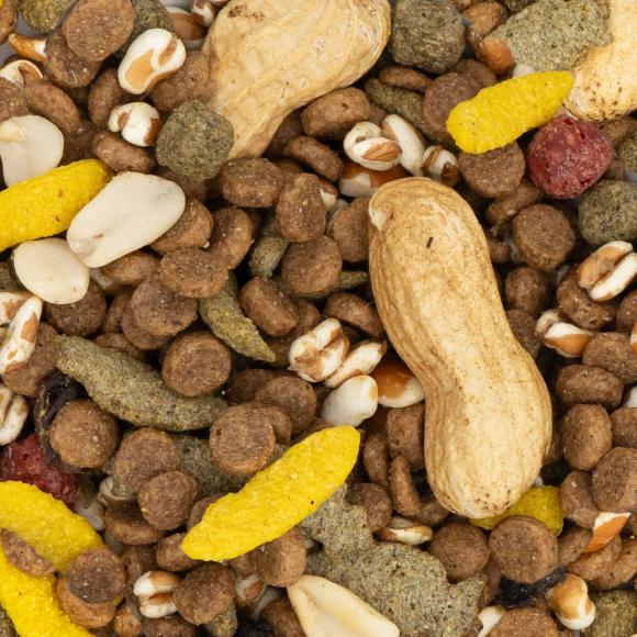Hamstersnacks – JR Farm 100 g