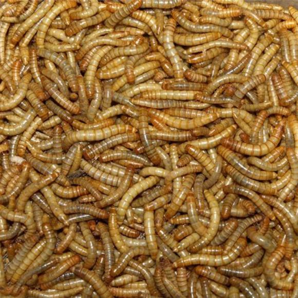 Tørrede melorme – 200 g