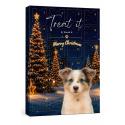 Julekalender til hund – 24 låger med snacks