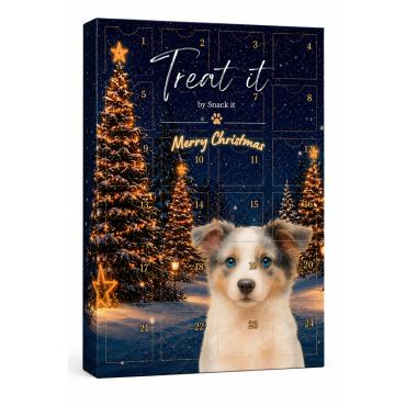 Julekalender til hund – 24 låger med snacks